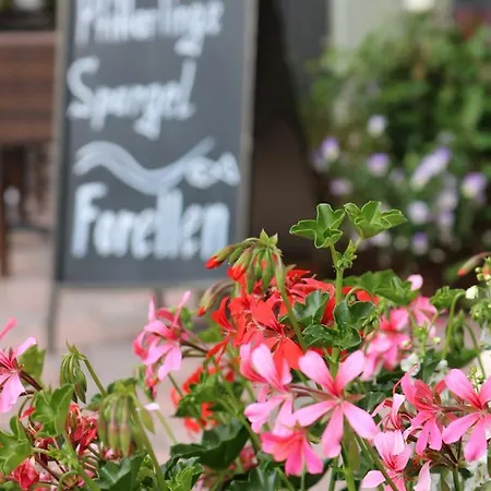 Πανσιόν Kimmig Bad Peterstal-Griesbach