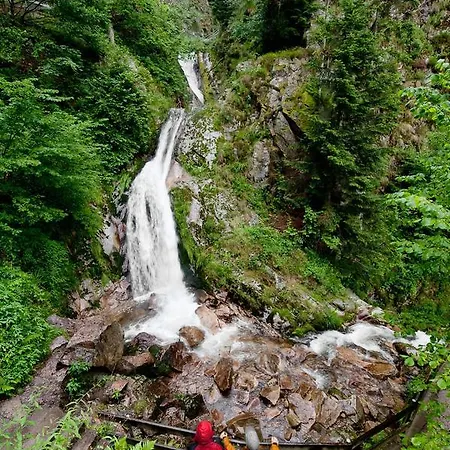 Kimmig Bad Peterstal-Griesbach