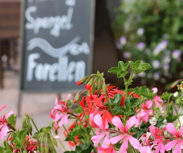 Гостевой дом Kimmig Бад-Петерсталь-Грисбах