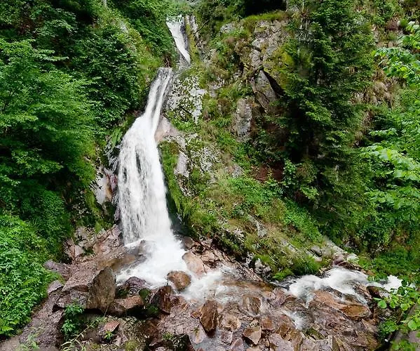 Kimmig Bad Peterstal-Griesbach